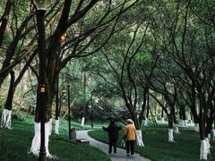 -龙头寺公园