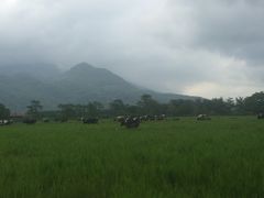 景点-瑞穗牧场