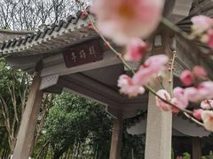 -南京古林公园