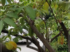 -云溪植物园