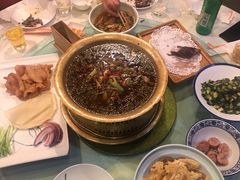 -食家鸽园