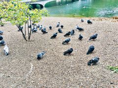 -海德公园