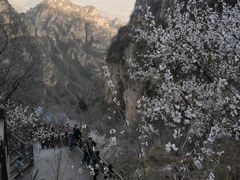-狼牙山风景区