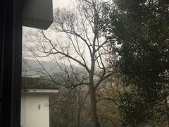 -杭州花家山庄