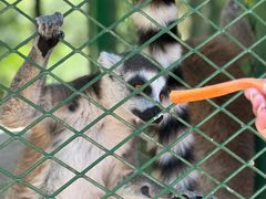 -水上乐园·欢乐世界