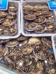 -双井轩·宴会厅