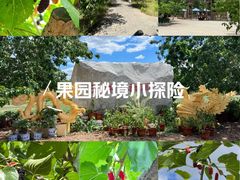 -御林古桑园
