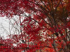 -崂山巨峰游览区