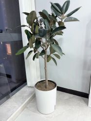 点击看大图 -韩美绣·骨相纹眉·洗眉美瞳线