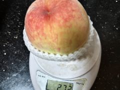 -老袁家蜜桃农场·阳山水蜜桃