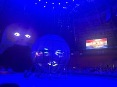 -俄罗斯国家大马戏团