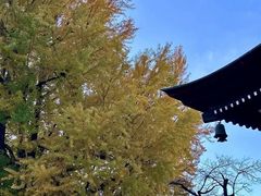 -医王山·飞騨国分寺