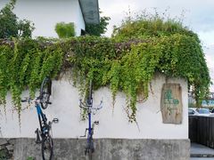 -翠田Green Field Kitchen