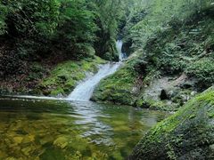 -牛背梁国家森林公园