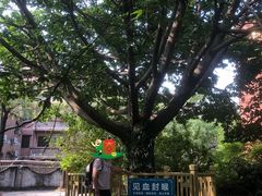 -陈李济中药博物馆