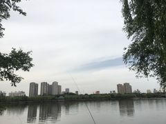 -长白岛森林公园