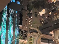 -桂满陇·海市蜃楼·黑金(国金店)