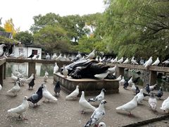 -西园戒幢律寺