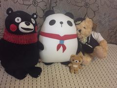 -PAWTOY爪e玩偶店(天兴罗斯福店)