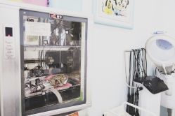 -星童star.kids儿童发型设计·满月胎发(玉兰花园店)