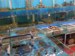 水产区-日照大牌檔•小船海鲜(万平口店)