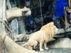 -清迈夜间动物园