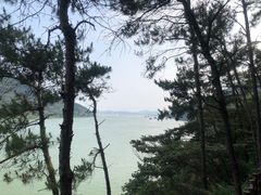 -羚羊峡古栈道森林公园