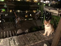 -喜洲吧·江畔老船厂·庭院餐厅(喜临院店)