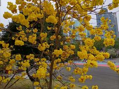 -天河体育中心