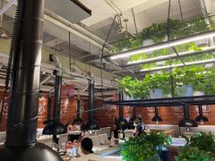 大堂-猫爪爪原切自助烤肉(观音桥阳光世纪店)