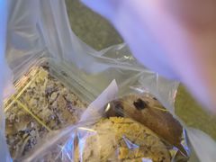 -爱德顺糕点食屋(利民道店)