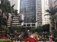 -珍妮曲奇聪明小熊(上环店)