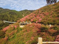 -木兰云雾山