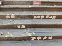 -天河潭旅游度假区