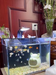 -南京医科大学友谊整形外科医院