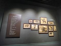 -大庆市博物馆