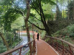 -莫干山风景区