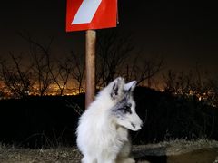 -鬼笑石后山停车场