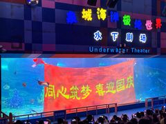 -泉城欧乐堡海洋极地世界