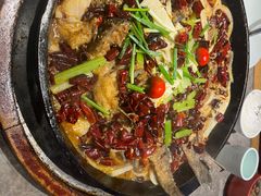 -老板恋上鱼(恒隆广场店)