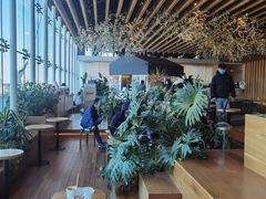 -Seesaw Coffee(朝阳大悦城店)