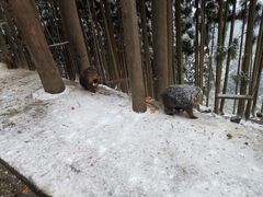 -太阳湾风景区