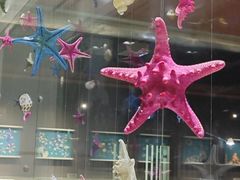 -青岛贝壳博物馆