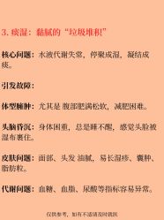 -玛莲朵·海菲秀冰珀科