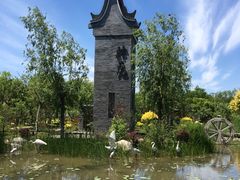 -武清南湖绿博园