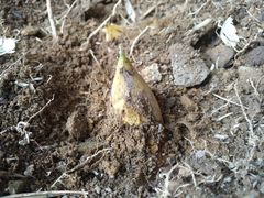 景点-穹窿山景区