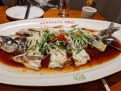 -丹江渔村(望京店)