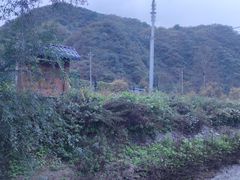 -白河湾生态旅游一条川