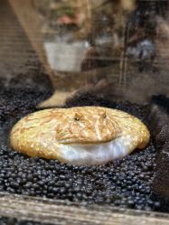 -Zoolung Zoolung动物主题公园(海信广场店)