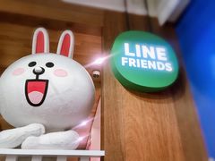 -line friends(明洞旗舰店)